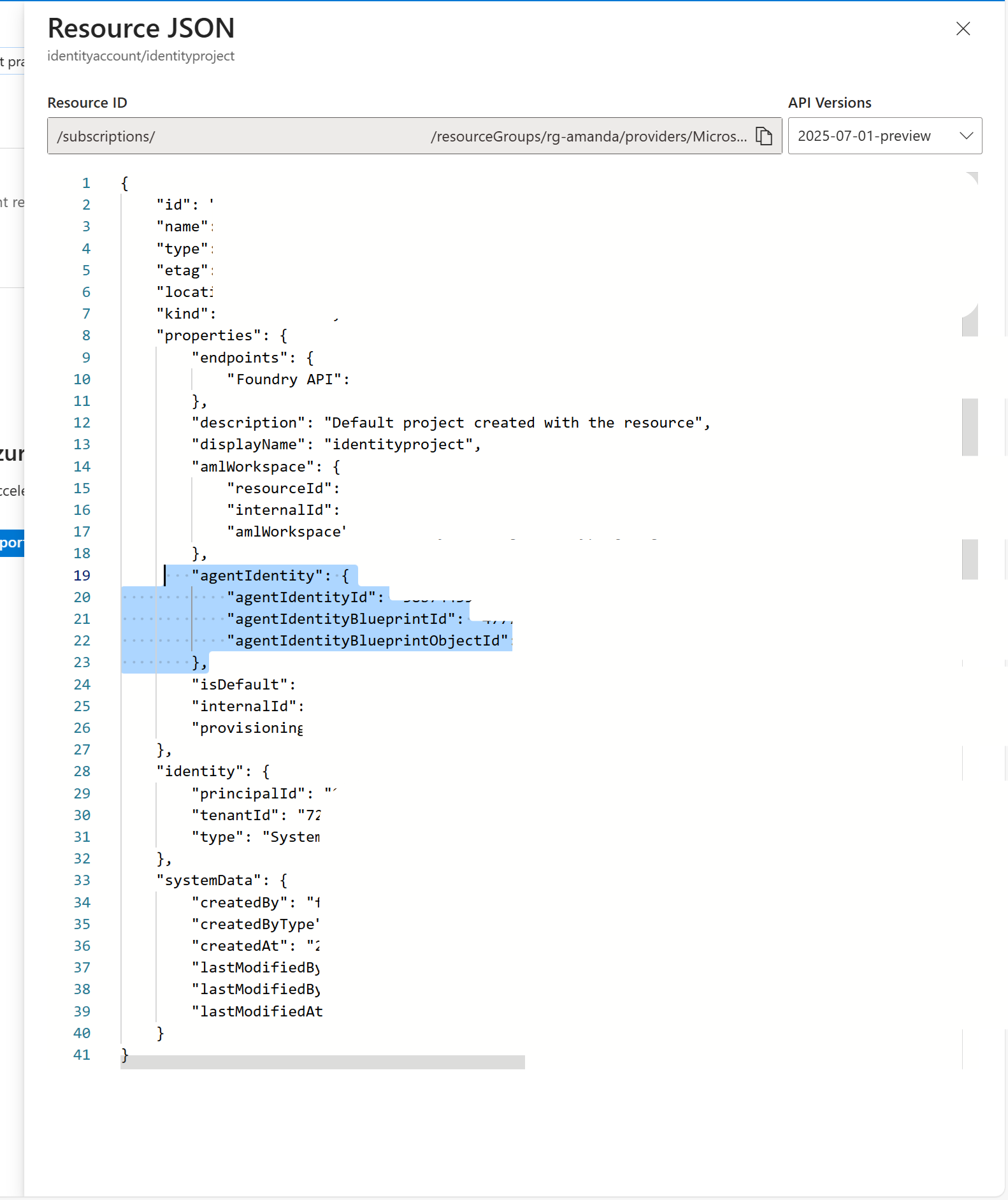 Foundry Project 的 Resource JSON 中的 agentIdentity 字段
